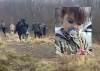27 ur po izginotju ustavili iskalno akcijo za dveletno Danko Ilić (FOTO, VIDEO)