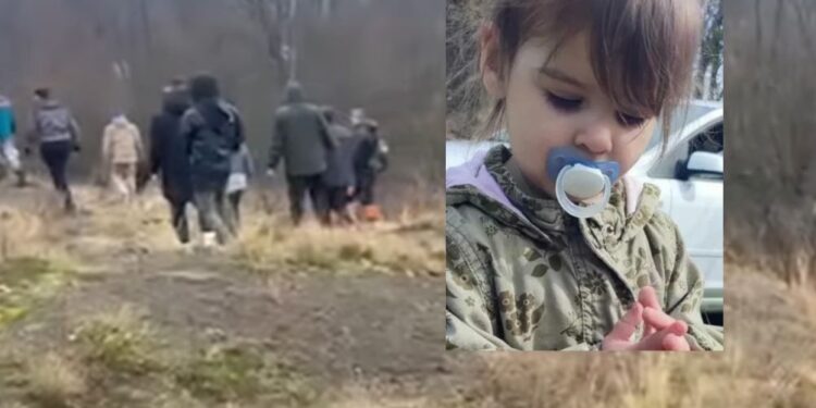 27 ur po izginotju ustavili iskalno akcijo za dveletno Danko Ilić (FOTO, VIDEO)