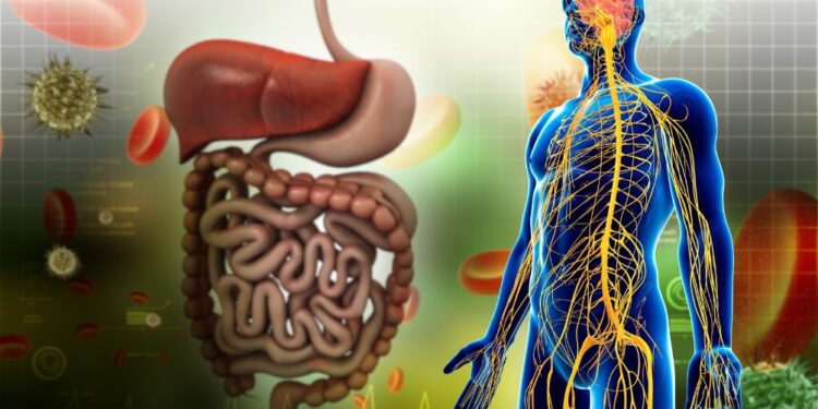 Razstrupite telo – popolna regeneracija imunskega sistema