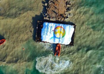 Prva ladja s pomočjo prispela v Gazo