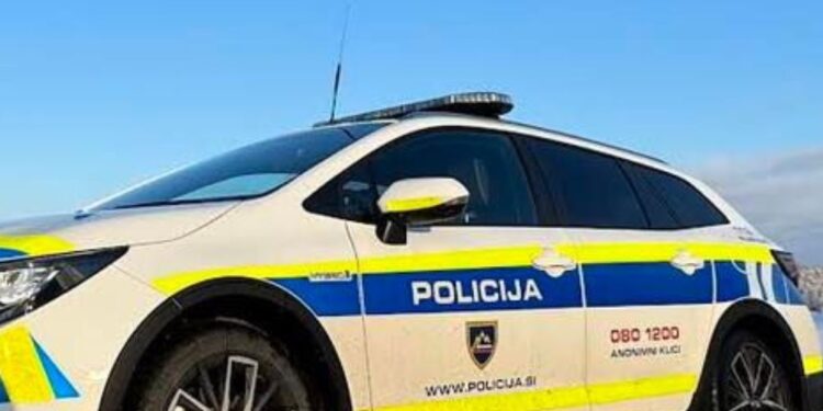 Hud pretep zaradi dolgov pred prodajalno v Šentjerneju