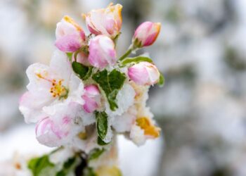 Foto: Meteoinfo Slovenija