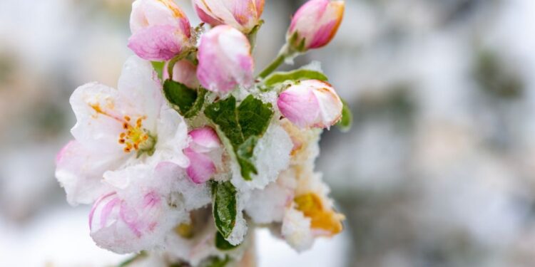 Foto: Meteoinfo Slovenija