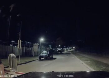 Foto: Posnetek zaslona TikTok/skylandwolf