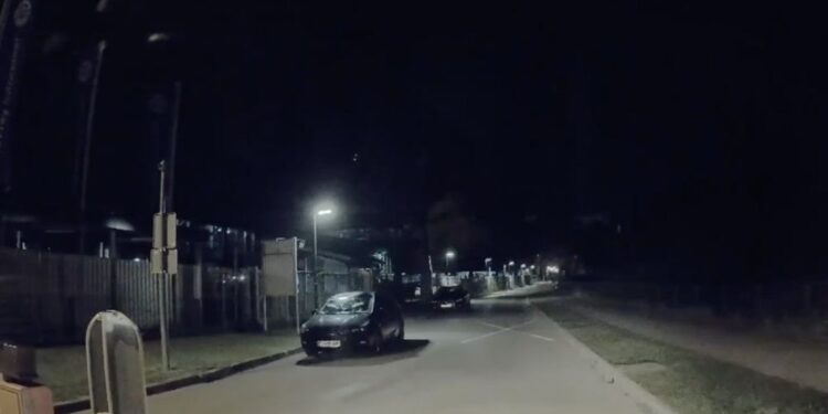 Foto: Posnetek zaslona TikTok/skylandwolf