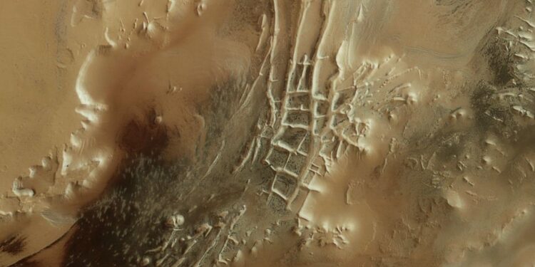 Foto: Posnetek zaslona X