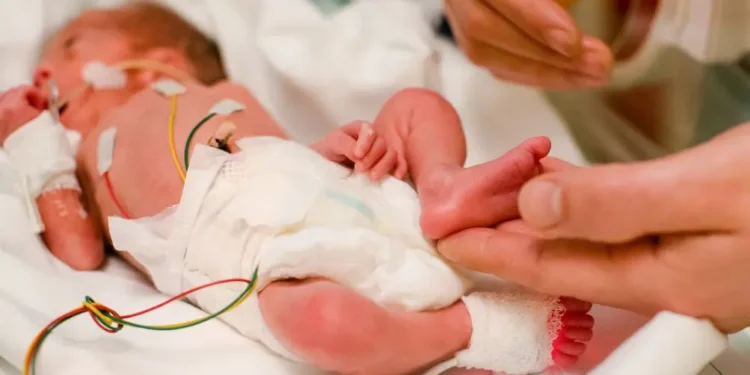 Dojenčica rešena iz maternice ubite matere