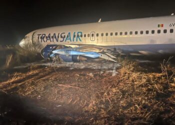 Foto: Posnetek zaslona X