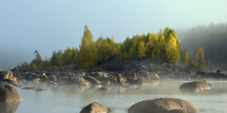 Foto: Canva