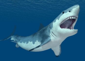 Foto: Canva ( Slika je simbolična)