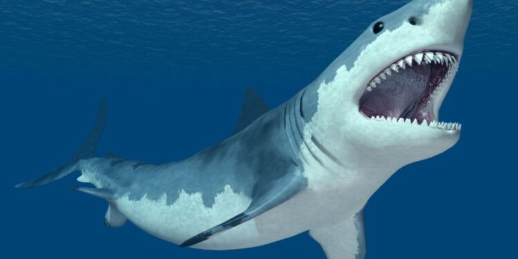 Foto: Canva ( Slika je simbolična)