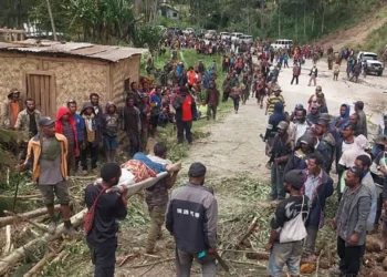 V zemeljskem plazu na Papui Novi Gvineji je umrlo 670 ljudi
