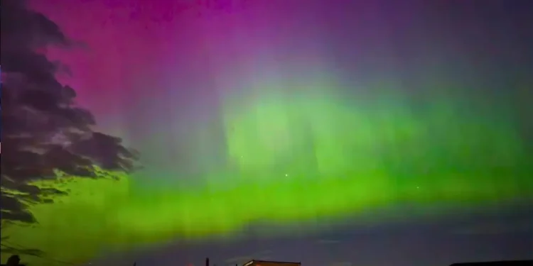 Severni sij navdušil britance