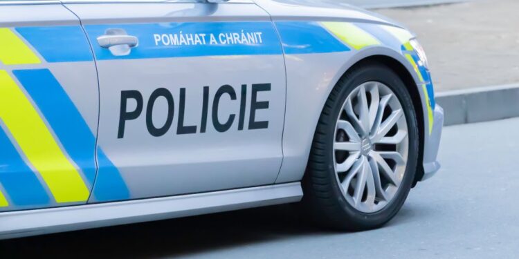 Napad na črpalki: Moški z nožem ranil več oseb (VIDEO)