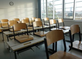 Država ne naredi dovolj za obvladovanje nasilja in kriminala, ki ga povzročajo Romi