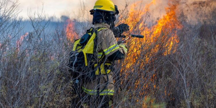 Požar v Grčiji povzročil ognjemet z jahte: “Bogati ljudje imajo več denarja kot pameti”
