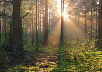 Takšno vreme nas čaka na prvi junijski dan