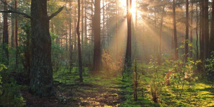 Takšno vreme nas čaka na prvi junijski dan