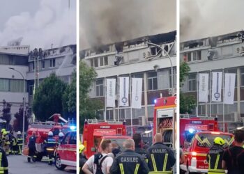 Požar v Palomi: 130 gasilcev preprečilo širjenje ognja na druge objekte (VIDEO)