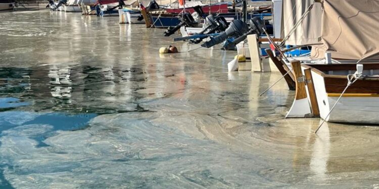 Morje na obali prekriva rjava sluzasta koprena (FOTO, VIDEO)