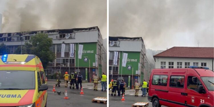 Škoda po požaru v Palomi ocenjena na pet milijonov evrov, poškodovan je tudi en gasilec