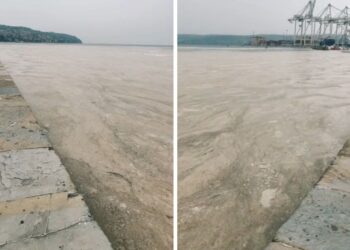 Premislite, preden se odpravite na morje: Sluzenje bi lahko trajalo več tednov (FOTO)