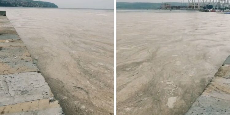 Premislite, preden se odpravite na morje: Sluzenje bi lahko trajalo več tednov (FOTO)