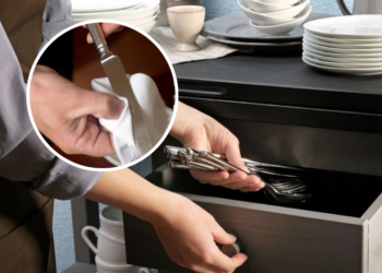 Kako do bleščečega jedilnega pribora? Potrebujete le nekaj sestavin