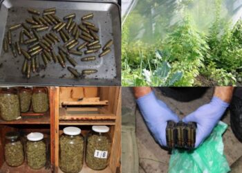 Dedkova skrita zaloga: Pri 74-letniku našli več kot 500 nabojev, detonatorje in marihuano (FOTO)