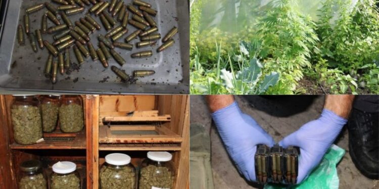 Dedkova skrita zaloga: Pri 74-letniku našli več kot 500 nabojev, detonatorje in marihuano (FOTO)