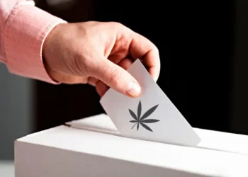 Referendumska vprašanja