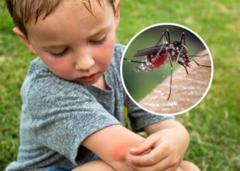 Tigrasti komar se širi po Evropi: Nova grožnja za zdravje