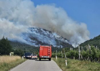 Požar na Krasu čuva več kot 400 gasilcev (FOTO)
