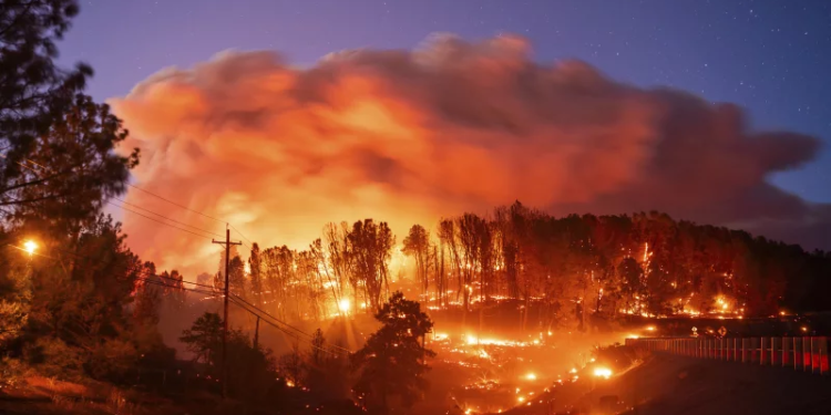 Hudi požari zajeli Kalifornijo: Evakuirali več kot štiri tisoč ljudi (VIDEO)