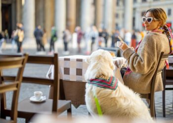 Gostje v šoku: Ob kavi plačal še za prisotnost psa!
