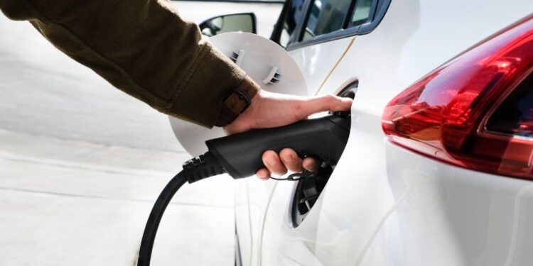 Kaj načrtuje Petrol? Kaj se skriva za prilagoditvami cen polnjenja?