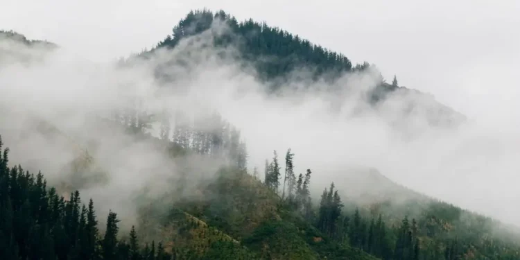 Na Krasu ponovno izbruhnil požar, ogenj gasita tudi air tractorja