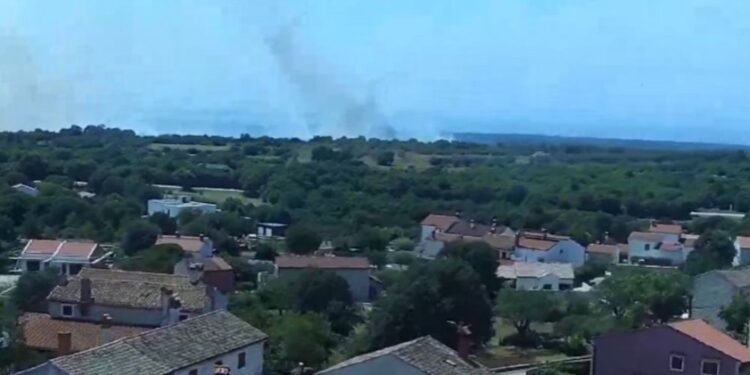 Gozdni požari v Istri in Dalmaciji: Gasilci in kanaderji na terenu