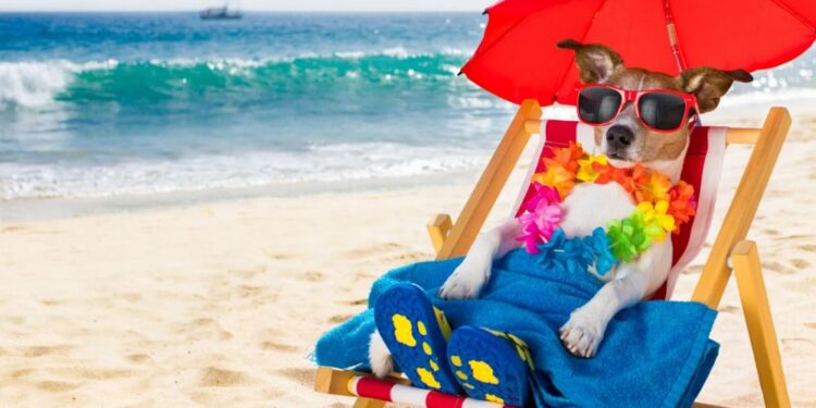 Poletni vrhunec: Slovenija danes dosega temperature do 36 stopinj Celzija