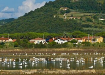 Vreme: Spremenljivo z možnostjo popoldanskih neviht