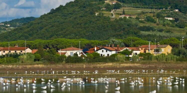 Vreme: Spremenljivo z možnostjo popoldanskih neviht