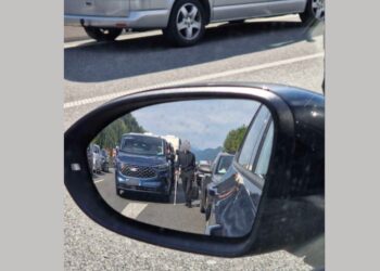 Zavod Reševalni pas opozarja na nevarnosti: Sprehodi z berglo in otroci ob prometu (FOTO)