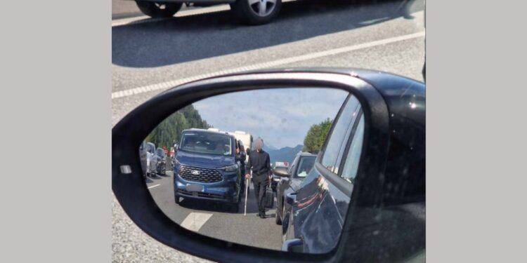 Zavod Reševalni pas opozarja na nevarnosti: Sprehodi z berglo in otroci ob prometu (FOTO)