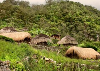 Smrtonosni napadi tolpe v Papui Novi Gvineji: 26 mrtvih, več pogrešanih