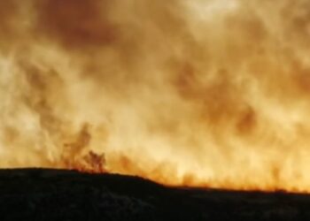 Grčija v primežu požarov: Slovenski turisti varno evakuirani