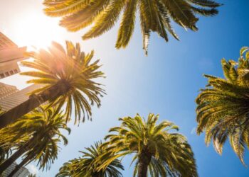 Takšno vreme nas čaka ta vikend