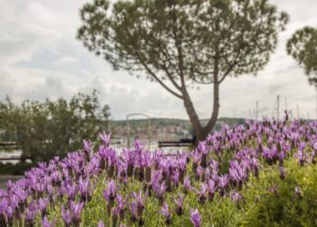 Danes nas čaka takšno vreme