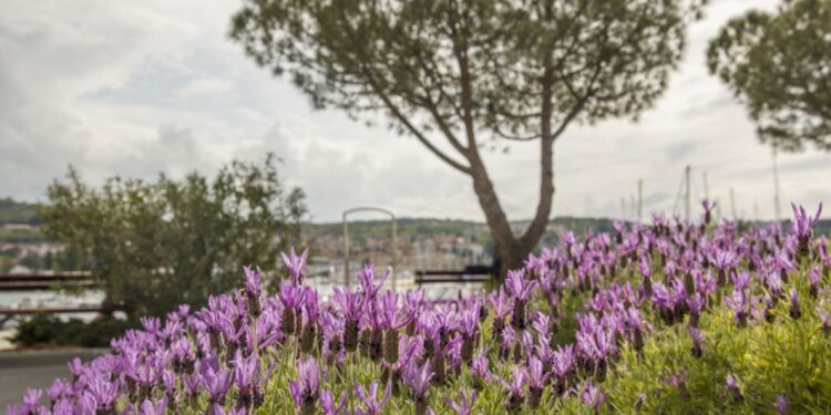 Danes nas čaka takšno vreme