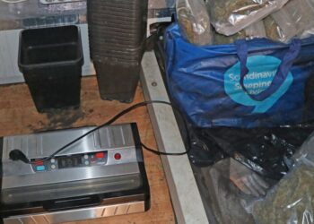 Na Idrijskem odkrili enega največjih laboratorijev za konopljo v Sloveniji (FOTO)