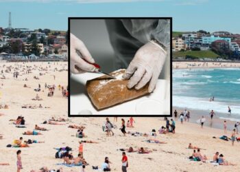 Med dopustom na plaži našel tono kokaina!